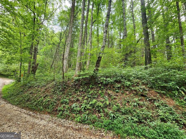 TRACT 2A Poplar Cove Trail, Suches, GA 30572