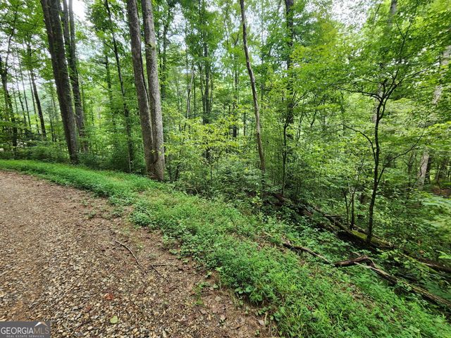 TRACT 2A Poplar Cove Trail, Suches, GA 30572