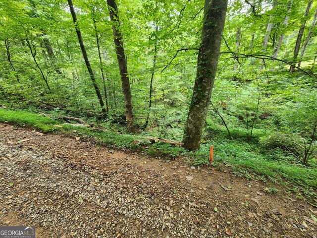TRACT 2A Poplar Cove Trail, Suches, GA 30572