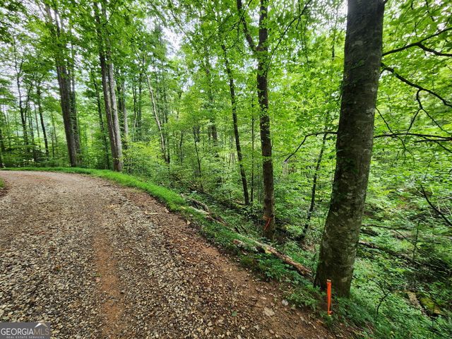 TRACT 2A Poplar Cove Trail, Suches, GA 30572