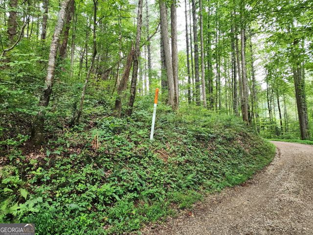 TRACT 2A Poplar Cove Trail, Suches, GA 30572