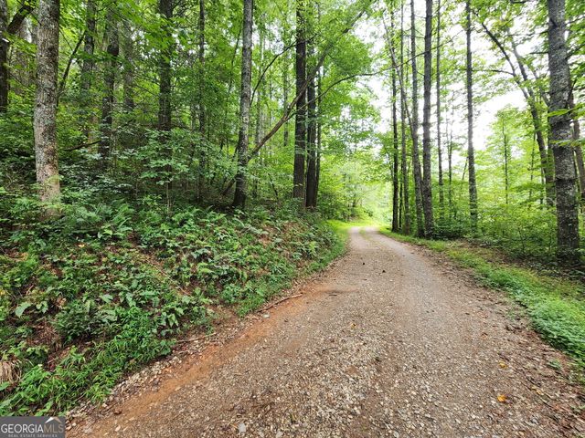 TRACT 2A Poplar Cove Trail, Suches, GA 30572