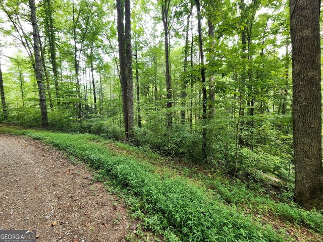 TRACT 2A Poplar Cove Trail, Suches, GA 30572