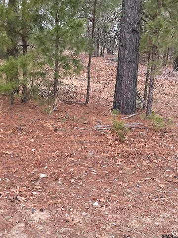 19215 FM 1804, Lindale, TX 75771