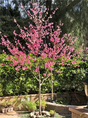 1834 Berryhill Drive, Chino Hills, CA 91709