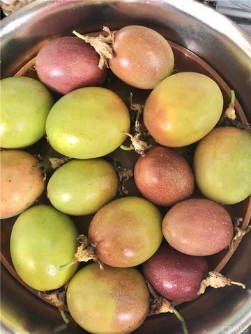 1834 Berryhill Drive, Chino Hills, CA 91709