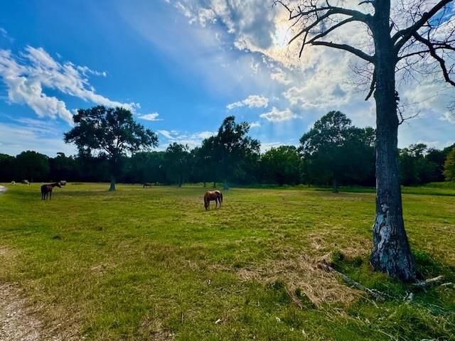 545 Fm 834 W, Hardin, TX 77575