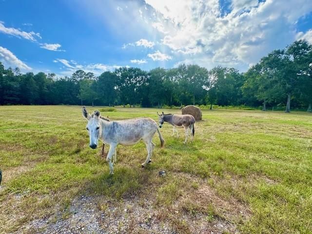 545 Fm 834 W, Hardin, TX 77575