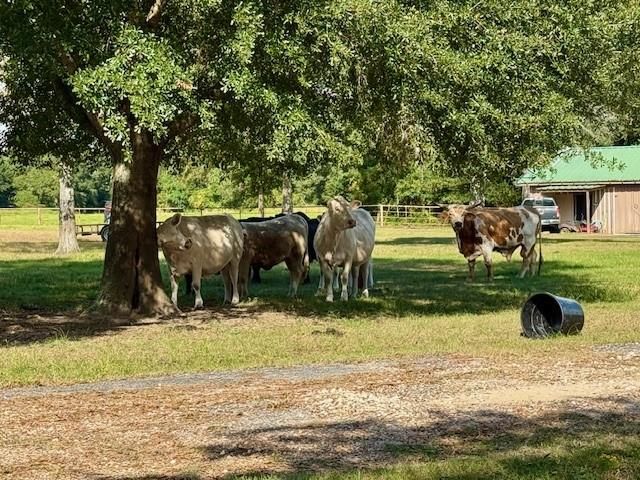 545 Fm 834 W, Hardin, TX 77575