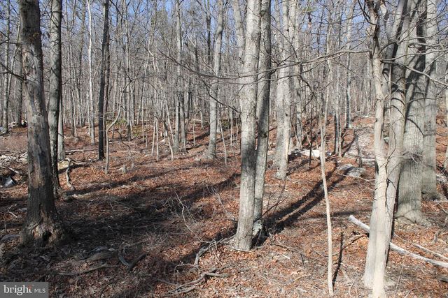 425 BLUEBIRD TRAIL, Winchester, VA 22602