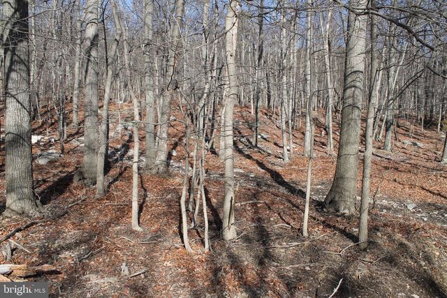 425 BLUEBIRD TRAIL, Winchester, VA 22602
