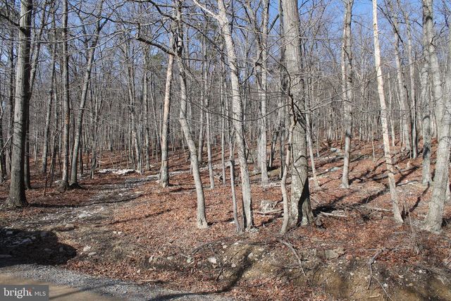 425 BLUEBIRD TRAIL, Winchester, VA 22602