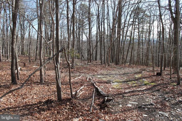 425 BLUEBIRD TRAIL, Winchester, VA 22602