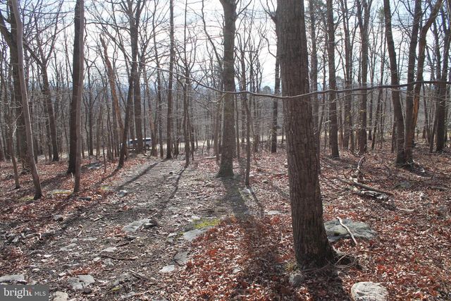 425 BLUEBIRD TRAIL, Winchester, VA 22602