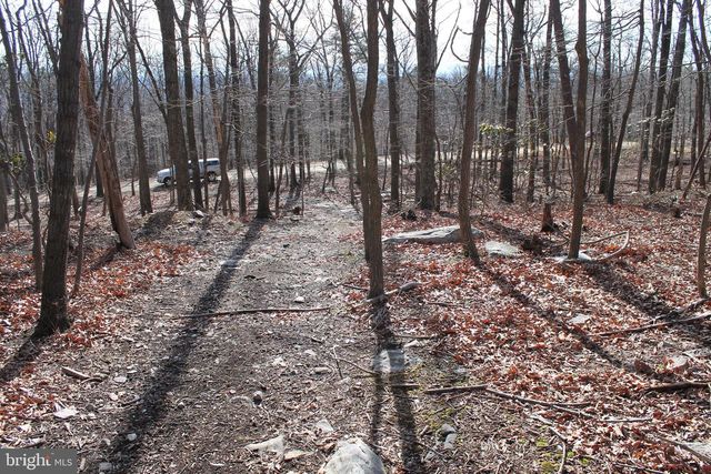 425 BLUEBIRD TRAIL, Winchester, VA 22602