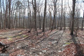 425 BLUEBIRD TRAIL, Winchester, VA 22602