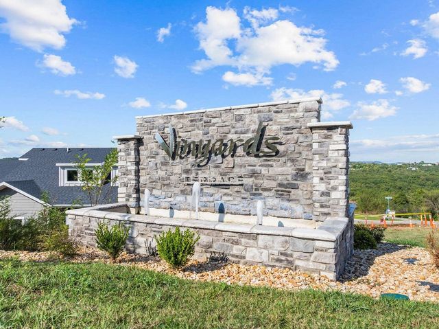 3107 S Vineyards Terrace Unit 5, Branson, MO 65616