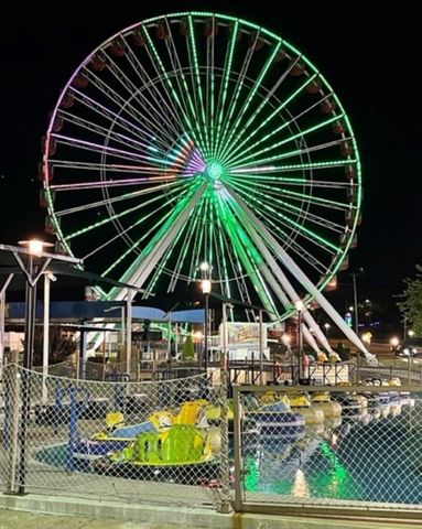 3107 S Vineyards Terrace Unit 5, Branson, MO 65616