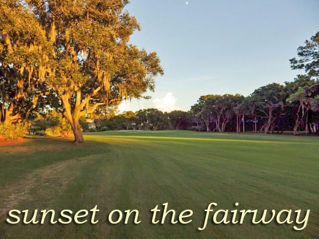 287 Driftwood Lane, Edisto Beach, SC 29438
