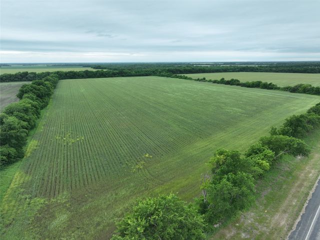 TBD HWY 56 Highway, Honey Grove, TX 75446