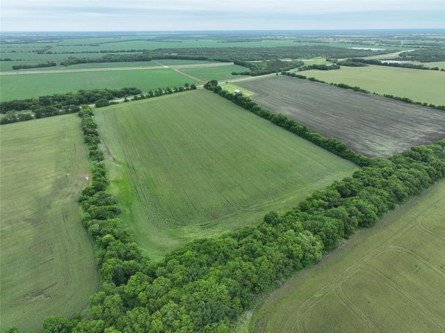 TBD HWY 56 Highway, Honey Grove, TX 75446