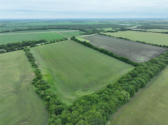 TBD HWY 56 Highway, Honey Grove, TX 75446