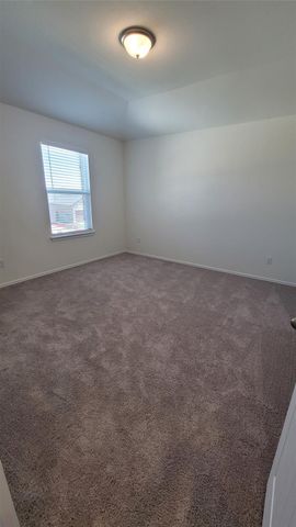 4457 Acerno ST, Round Rock, TX 78665