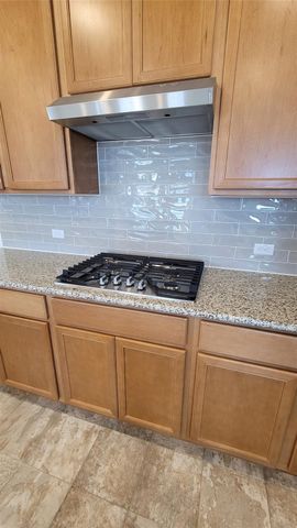 4457 Acerno ST, Round Rock, TX 78665