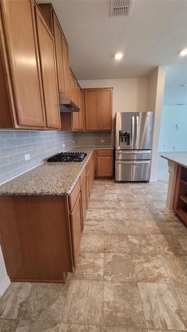 4457 Acerno ST, Round Rock, TX 78665
