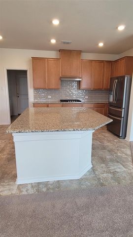 4457 Acerno ST, Round Rock, TX 78665