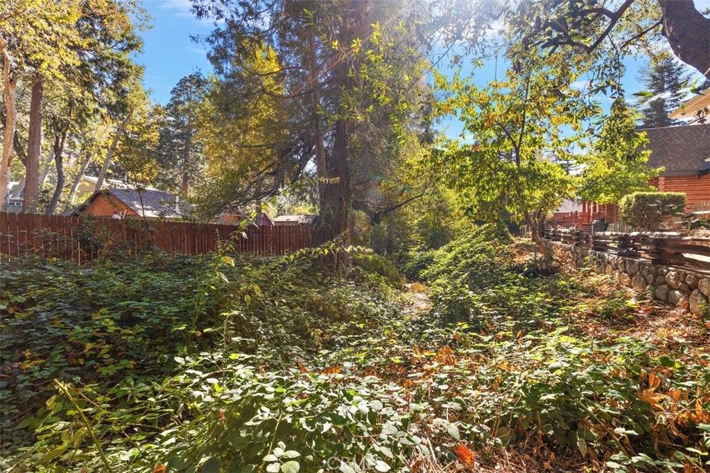 Image 43 of property listing at 21 Mt Baldy Road, Mt Baldy, CA 91759