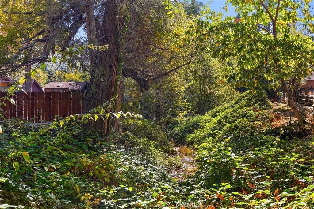 Image 44 of property listing at 21 Mt Baldy Road, Mt Baldy, CA 91759