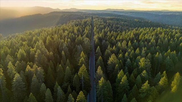 23420 State Highway 20, Nevada City, CA 95959