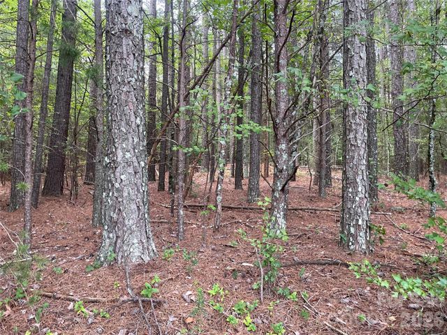 01 Fishermans Lane 1, Maiden, NC 28650
