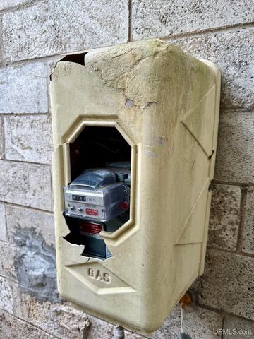 521 E F Street, Iron Mountain, MI 49801