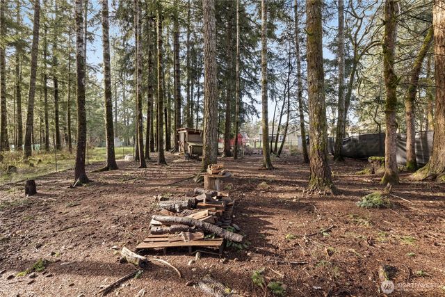 1520 E Shelton Springs Road, Shelton, WA 98584