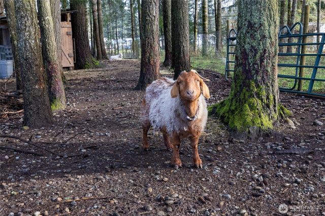 1520 E Shelton Springs Road, Shelton, WA 98584