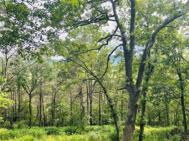 1839 Bunch Springs Road, Berryville, AR 72616