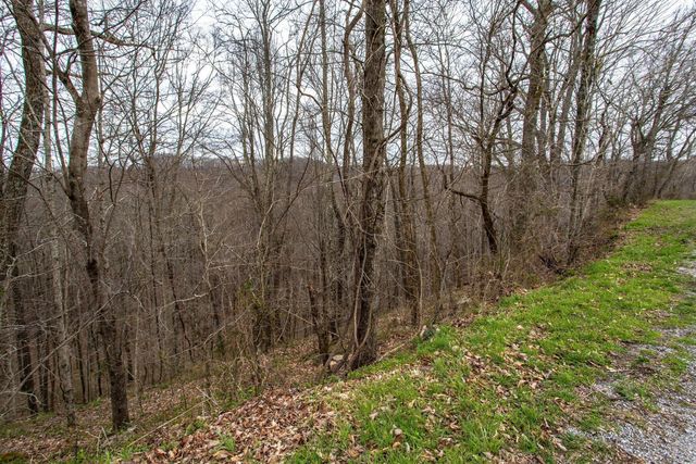 0 Coconut Ridge Rd, Smithville, TN 37166