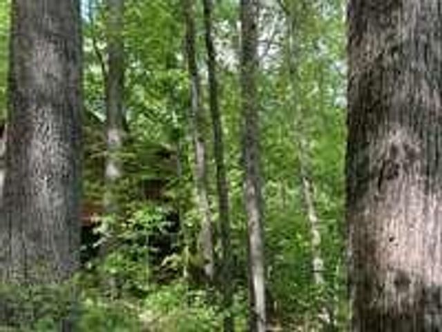 55 Debbie Lane, Slade, KY 40376