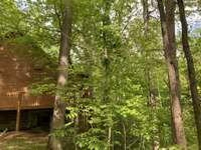 55 Debbie Lane, Slade, KY 40376