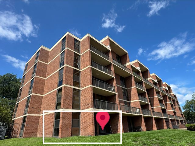 2921 S Michigan Avenue 109, Chicago, IL 60616