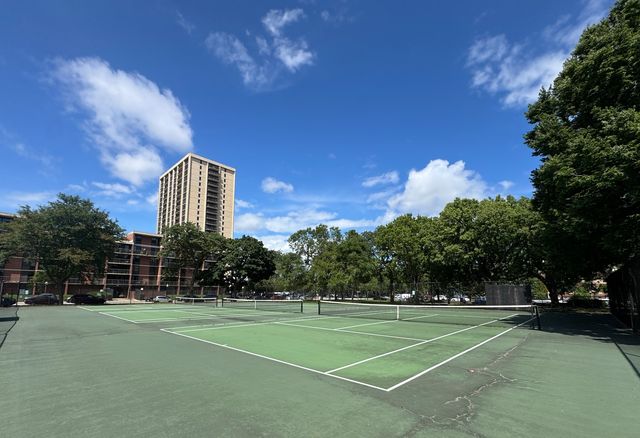 2921 S Michigan Avenue 109, Chicago, IL 60616