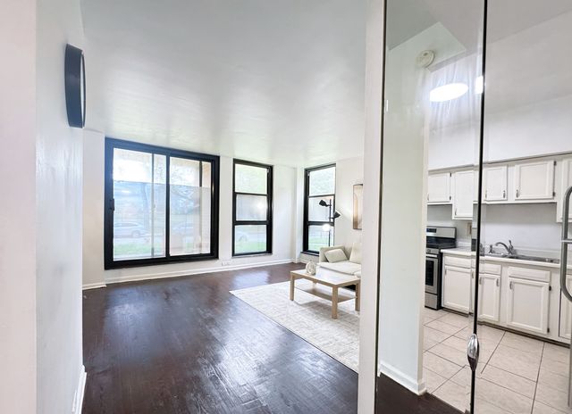 2921 S Michigan Avenue 109, Chicago, IL 60616
