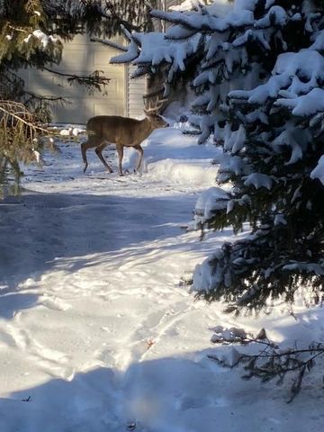 12516 225th Court NW, Elk River, MN 55330