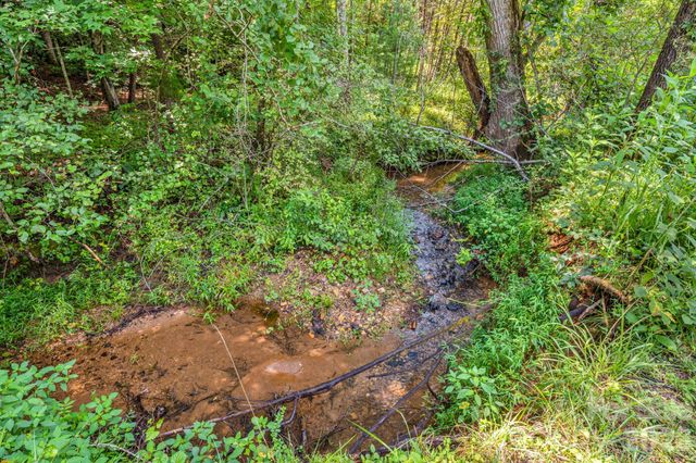 242 Whitney Boulevard, Lake Lure, NC 28746
