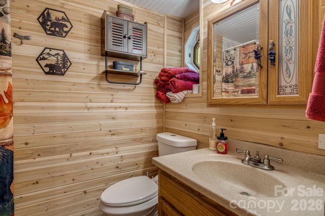 242 Whitney Boulevard, Lake Lure, NC 28746