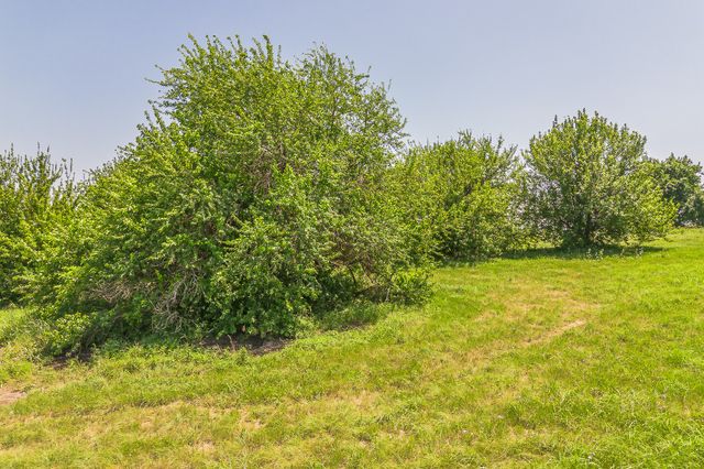 368 Private Road 4443, Rhome, TX 76078