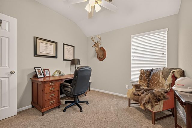 29230 Sequoia Tree Trail, Spring, TX 77386