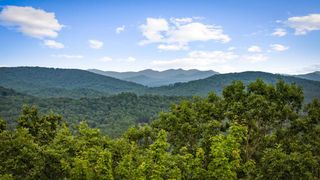 140 Bandit Lane, Blue Ridge, GA 30513